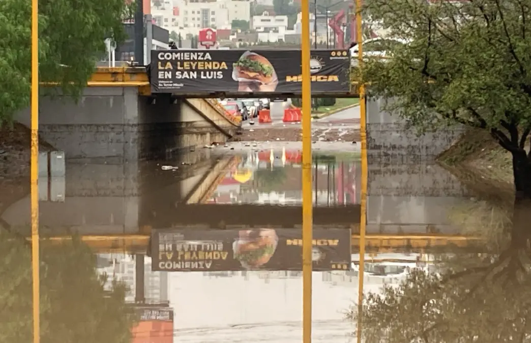 Foto: Alberto Martínez/Pulso