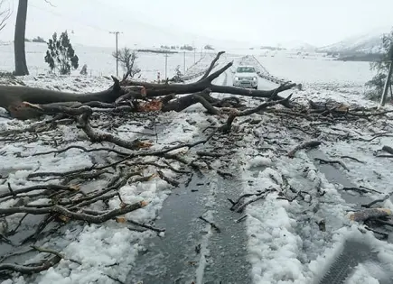 Lluvias y nevadas afectan Sudáfrica