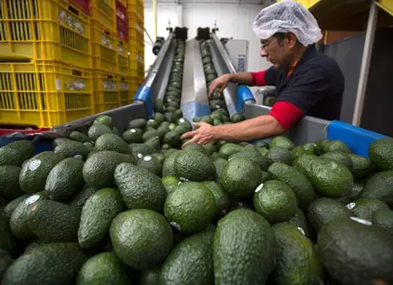 Caen exportaciones de agroalimentos