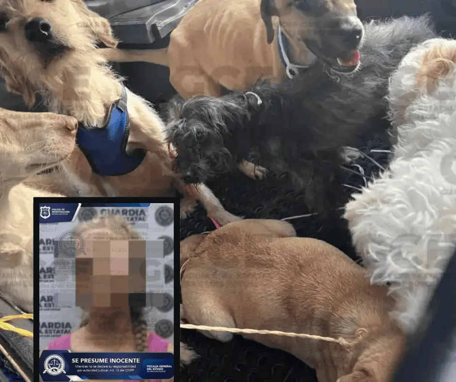 Ana María "N", de 53 años, vinculada a proceso Ana María "N", de 53 años, vinculada a proceso