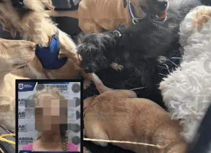 Vinculan a proceso a mujer detenida en Jacarandas por maltrato animal Vinculan a proceso a mujer detenida en Jacarandas por maltrato animal