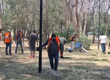 Realizan servicio a la comunidad 800 infractores al Bando de Policía