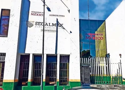 Segalmex sigue impune; contrata nueva auditoría