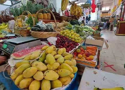 Juventud rural de México y la transición a alimentos ultraprocesados