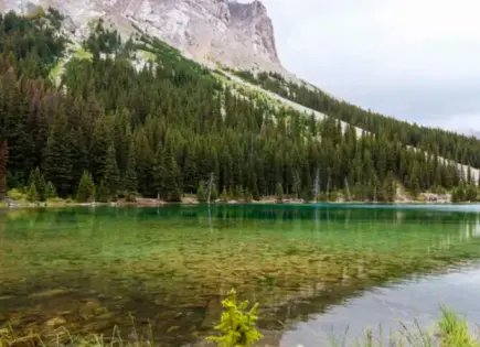 Sheinbaum y Trump, entre osos y linces; así es Kananaskis, Canadá