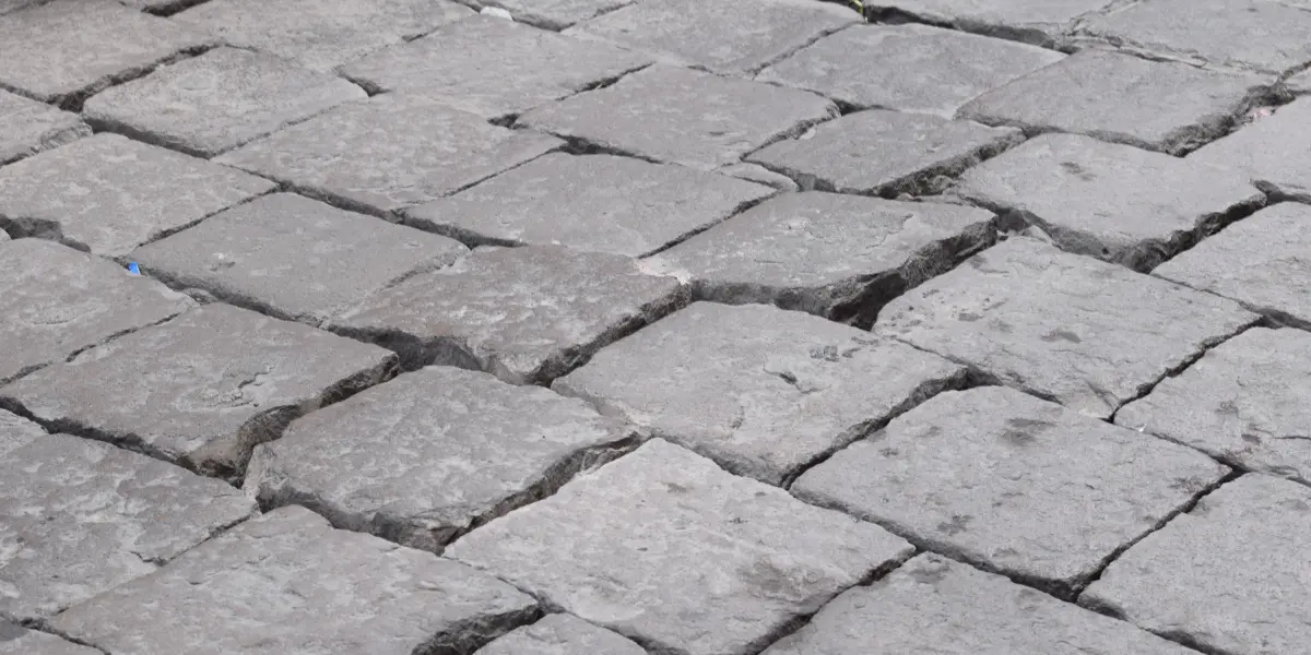 Foto: Citlally Montaño-Pulso