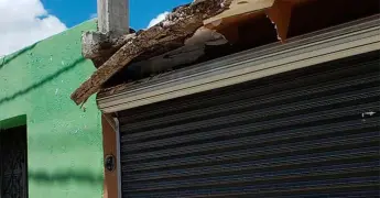 Marquesina cae en la calle Independencia