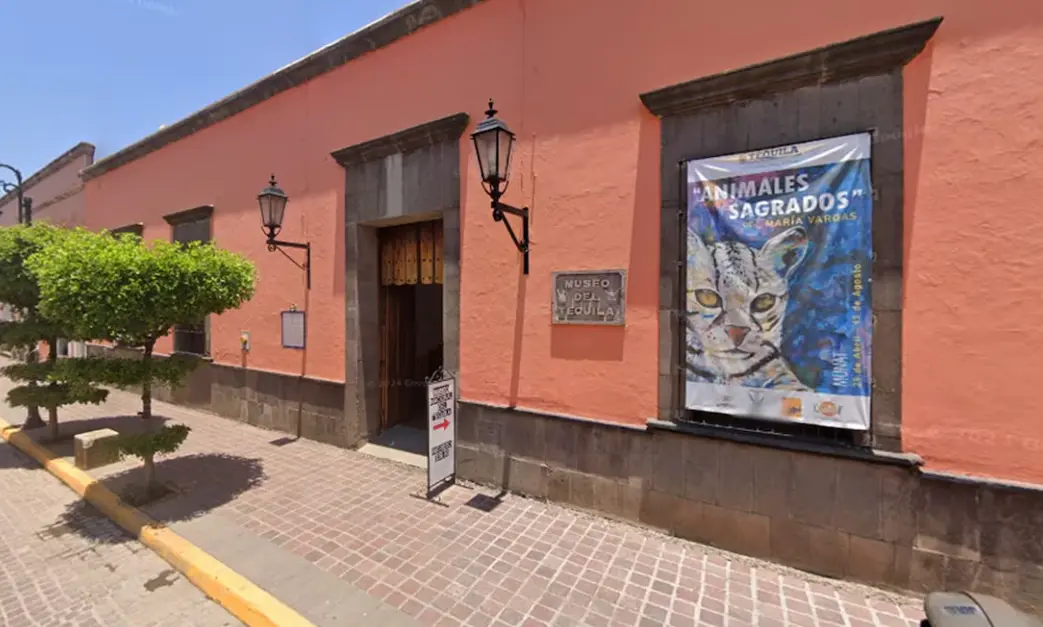 Detienen arbitrariamente a camarógrafo en Tequila, Jalisco