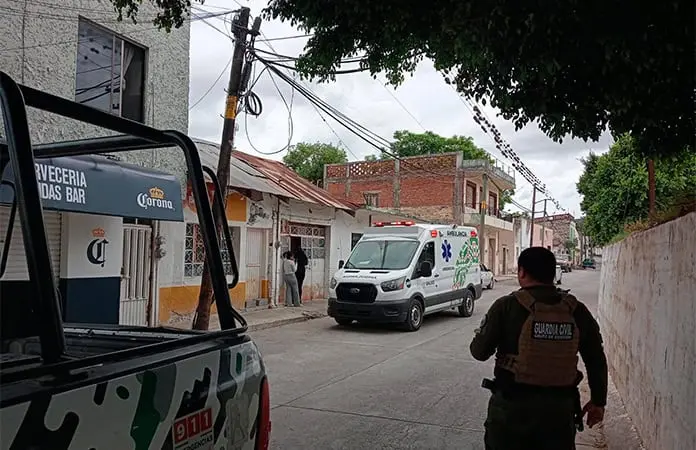 Enjambre de abejas ataca a personas