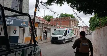 Enjambre de abejas ataca a personas