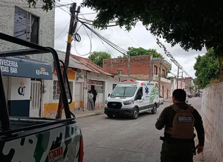 Enjambre de abejas ataca a personas