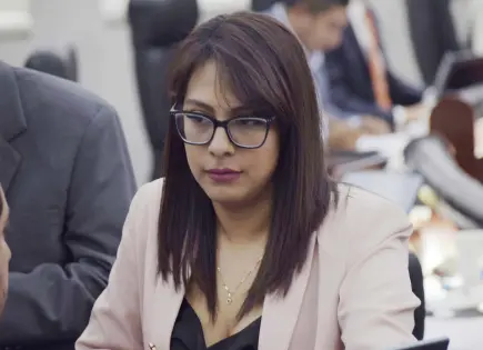 Comisión interna revisará perfiles de quienes busquen integrarse a Morena