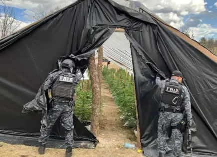 Abaten a 14 en Zacatecas y hallan narcobodega con 122 motores robados