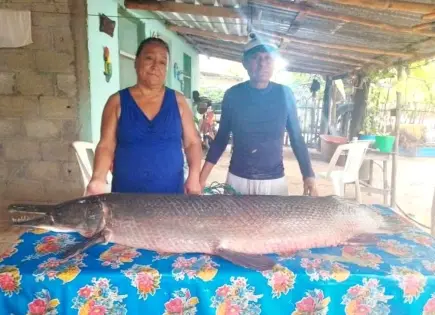 Aparece enorme catán en vivienda de Tamuín Aparece enorme catán en vivienda de Tamuín