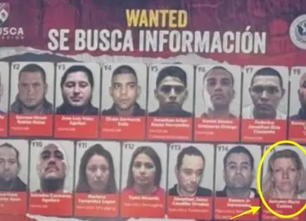 Cae en Sonora Y15, objetivo prioritario en M&eacute;xico y EU