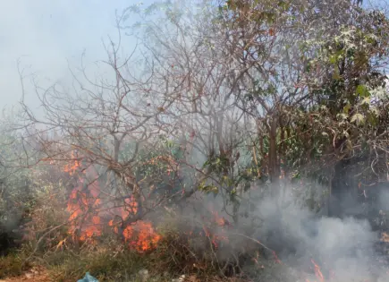 Aumentan 64% los incendios forestales en el estado