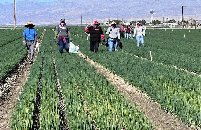 Migrantes temen retornar
