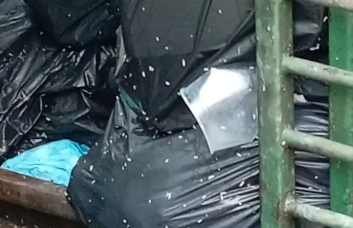 Negocio de comida contamina a familias