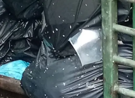 Negocio de comida contamina a familias