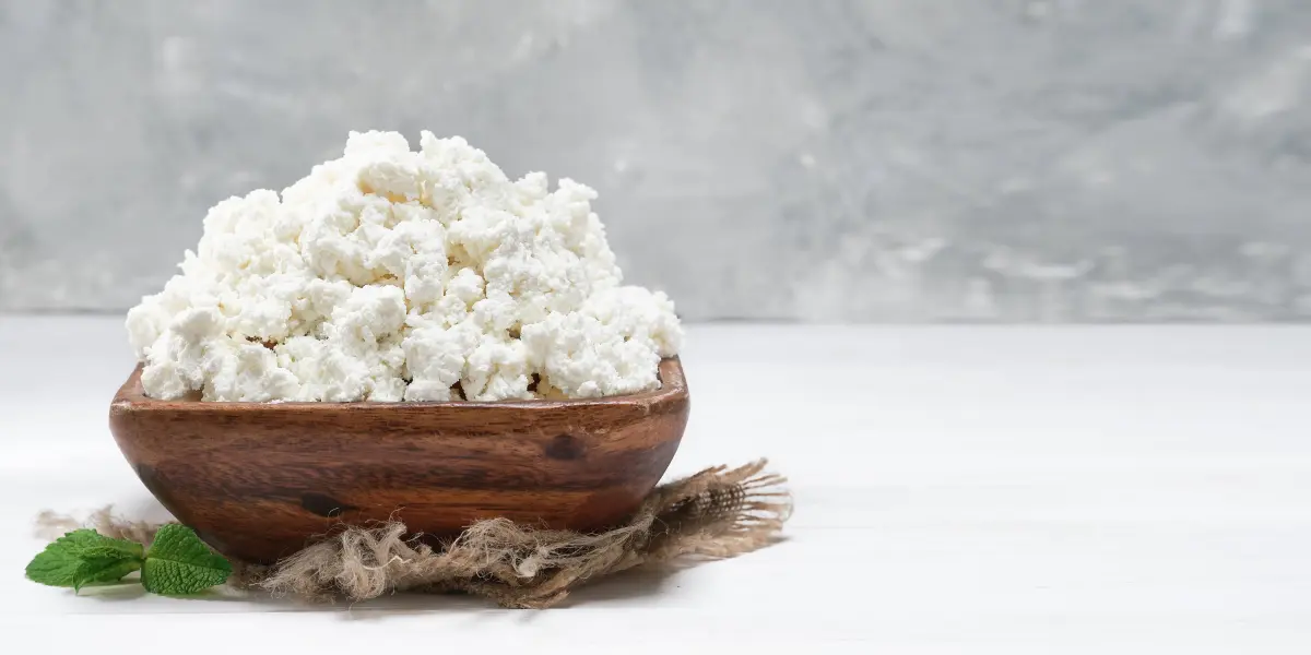 Los búlgaros de leche: aliados para la salud digestiva