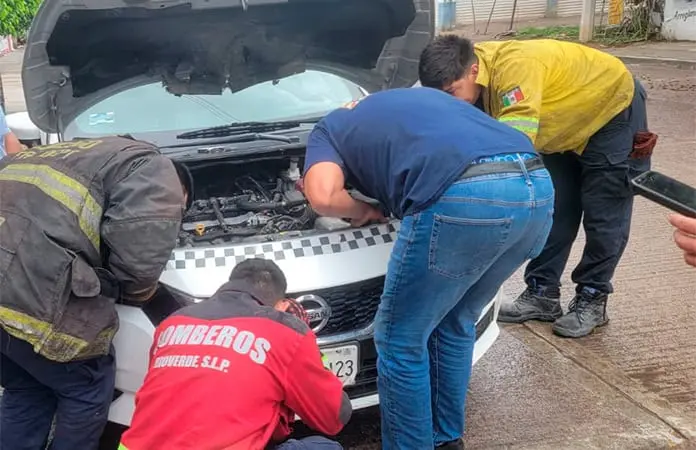 Rescatan gato, atorado entre radiador de carro