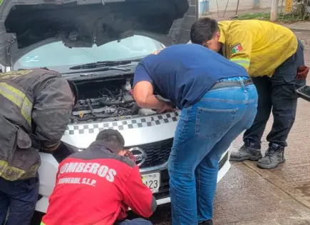 Rescatan gato, atorado entre radiador de carro