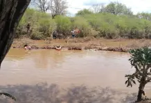 Hallan cuerpo de trabajador de la empresa Gusi que cay&oacute; a r&iacute;o en Tamu&iacute;n