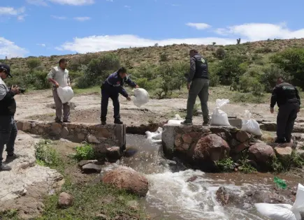 Inicia nuevo desfogue controlado de presa Cañada del Lobo