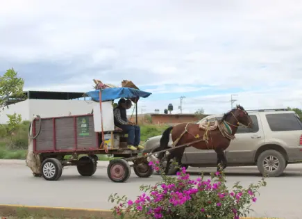 Pese a la ley, carretoneros siguen operando en Villa de Pozos