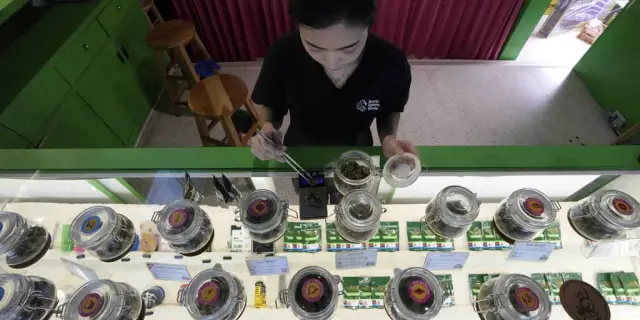Tailandia da otro paso para reforzar el control sobre la venta de cannabis