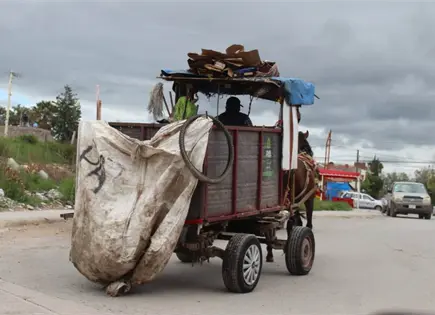 Multar&aacute;n uso de animales para jalar carretas de basura en SLP