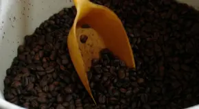 Anuncian Café del Bienestar en Guerrero