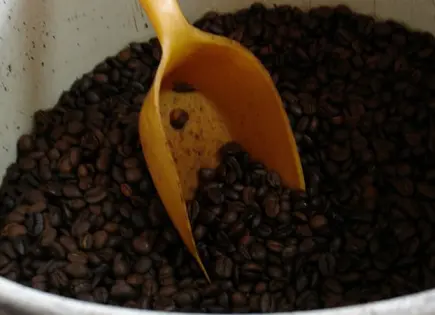Anuncian Café del Bienestar en Guerrero