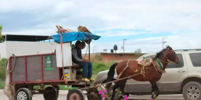 Piden paciencia para recolección de basura