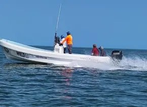 Rescatan a cuatro buzos abandonados en altamar por pescadores furtivos en Yucatán