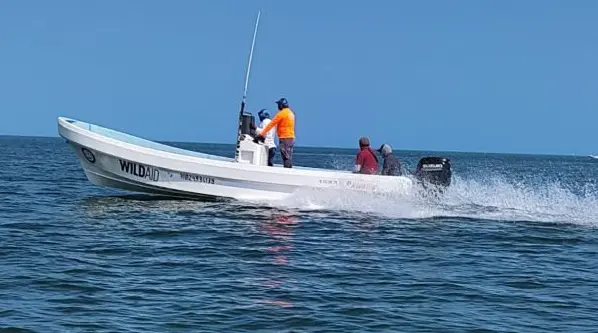 Rescatan a cuatro buzos abandonados en altamar por pescadores furtivos en Yucatán