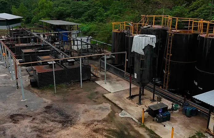 Energía Ecorenovable quería producir vino