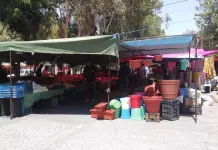 Hallan productos caducados en tianguis de San Juan de Guadalupe