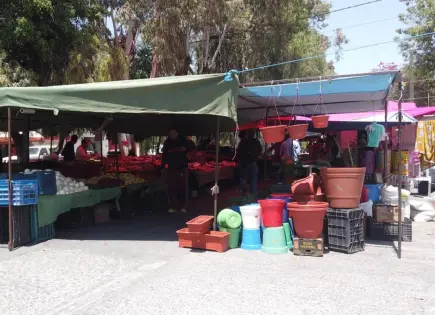 Hallan productos caducados en tianguis de San Juan de Guadalupe