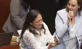 Lilly Téllez denuncia a senadoras de Morena por cortar su megáfono en el Senado