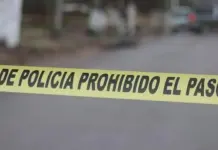 Hallan 20 cuerpos en carretera M&eacute;xico-Nogales