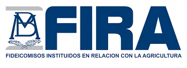 FIRA y su relación con Intercam en la prevención de lavado de dinero
