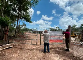 Profepa clausura 2 mil 600 hectáreas de selva en tres estados