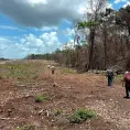 Clausura la Profepa 2,600 ha de selva