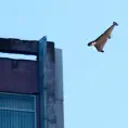Dron ucraniano golpea fábrica