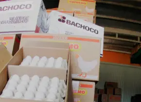 Bachoco se retira de la Bolsa Mexicana de Valores