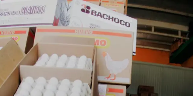 Bachoco se retira de la Bolsa Mexicana de Valores