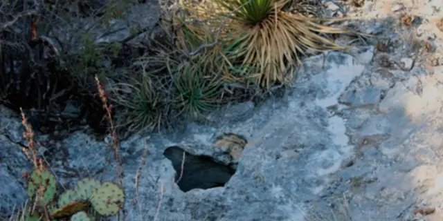 INAH rescata restos óseos en cueva prehispánica de Coahuila