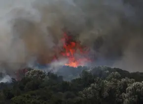 Incendios forestales en Grecia y Turquía provocan evacuaciones y dejan dos muertos