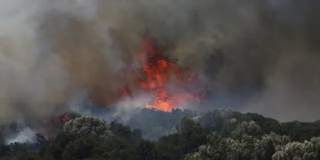 Incendios forestales en Grecia y Turquía provocan evacuaciones y dejan dos muertos